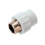 PP MUFA GZ 25 x 1 DIAMOND - 2